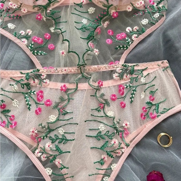 Pink Floral Embroidered Mesh Bodysuit Teddy - Picture 4 of 5